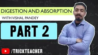 Digestion and Absorption - Lecture : 02 | Vishal Pandey