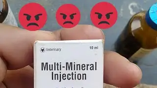 Minjet Injection Use For Animal Reproductive Better Result 
