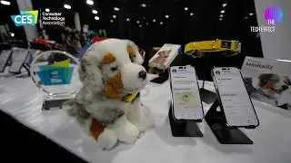 CES UNVEILED 2024 - MINITAILZ SMART PET COLLAR FROM INVOXIA