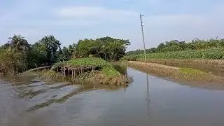 #nature #agriculture #farming #floweringplants  #farming #vegetables #National #river #technology