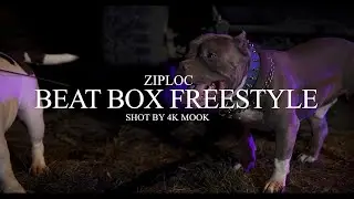 Ziploc - BeatBox Freestyle (Music Video)