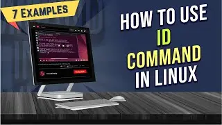 How to Use “id” Command in Linux [7 Practical Examples] | LinuxSimply