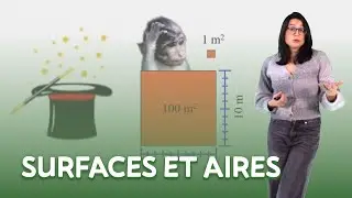 Surfaces et aires
