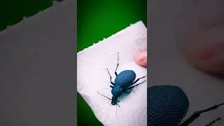 ölüm Makinasi Mor renkli kara fatma