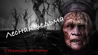 Лесная ведьма, Страшные истории (Эксклюзив)