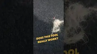 Does This Dog Hair Tool Really Work? #cardetailing #detailing