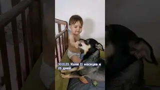 Как Коля собаку дразнил 👶🐕😃