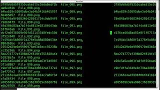 Hacking Lab 0x03   Using md5sum to Verify Integrity or Find Covert Files