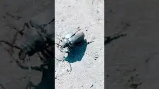 26 октября 2022 г.