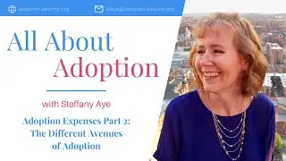 Why Does Adoption Cost So Much? - Part 2