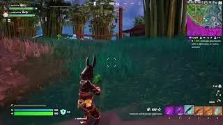 Fortnite with Mr. ZX (and possibly more) - Stream #20