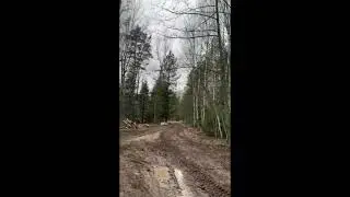 Экскурсия по охотобазе