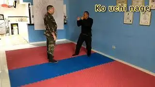 Ko ichi nage