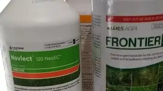 Maulan Na Hapon