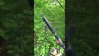 Поймал на ЭТО сазана 