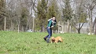 Бушенька и удочка