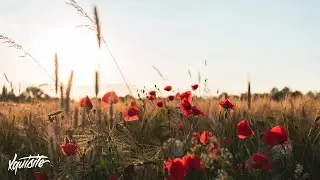 Despotem ft. Austin Salter - Chase The High