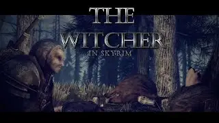 The Witcher but i play Skyrim