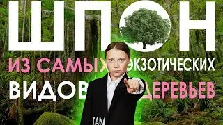 Грета Тунберг, не смотри это видео 😱 | 🌳 Деревянный шпон