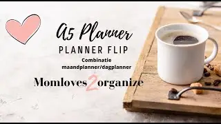 Combinatie van gedateerde maandplanner met dagplanner.