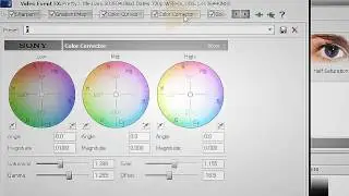 Sony Vegas Tutorial | Coloring #5