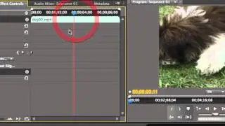 Keyframing - Adobe Premiere Pro CS5 Video Tutorials