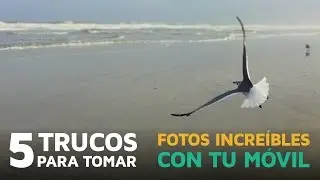 5 Trucos para tomar fotos increíbles con tu móvil [con Paco Alacid]