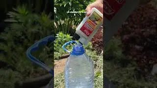 Артикул - 355367693