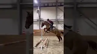 Конкурная тренировка, прыгнули 130 с рыжиком🔥 