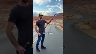 The 