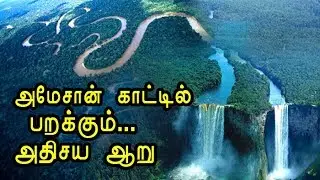 Amazon's Flying Rivers | Unbelievable Facts about Amazon Forest