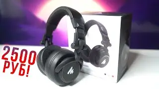Лучшие бюджетные проводные наушники за 2500р! Maono AU-MH601.