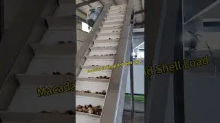 Macadamia Nut kernel Shell Separating Color Soter Sorting Machine