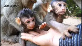 Lucas feeling jealous dont want Bailee touch my hand,these two remind me of Lola&Toni