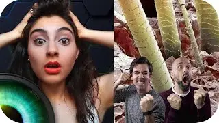 ¿PELOS O CÉSPED? | Adivinando fotos de microscopio con Erika Russo