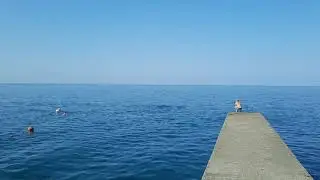 дельфины в Сочи пляж Ласточка