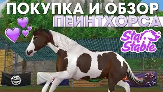 ПОКУПКА И ОБЗОР АМЕРИКАНСКОГО ПЕЙНТХОРСА - Star Stable | Обновленный Пейнтхорс и Новая Амуниция