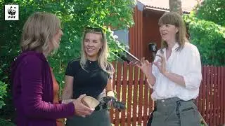 De är små, söta och har taggar…