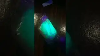 29 сентября 2023 г.