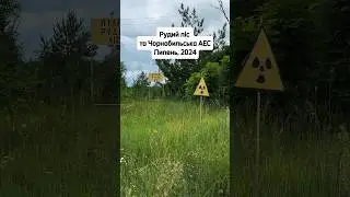 Чорнобильська зона відчуження та Рудий ліс #лавромандри #lavromandry #чорнобиль #рудийліс