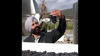 Learn how Karnail and his family put sustainability into practice