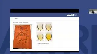 Exploiting flavour precursors for improved white wine flavour