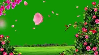 Flower green screen | Tree green screen | Nature green screen | Copyright free green screen