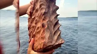 Диджериду «Море» из натуральной сосны — Звучание YogaDesc