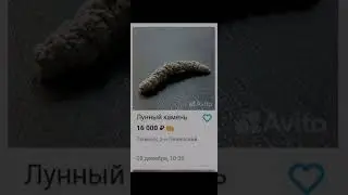 объявления с авито 