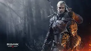 The Witcher 3 - Вольное прохождение #6