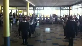 macon halay grubu