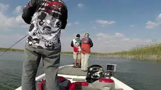 crankbait cover (STANDING  TIMBERS)