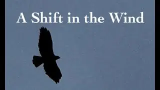 A Shift in the Wind | McGTV Video Log