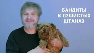 Бандиты в пушистых штанах